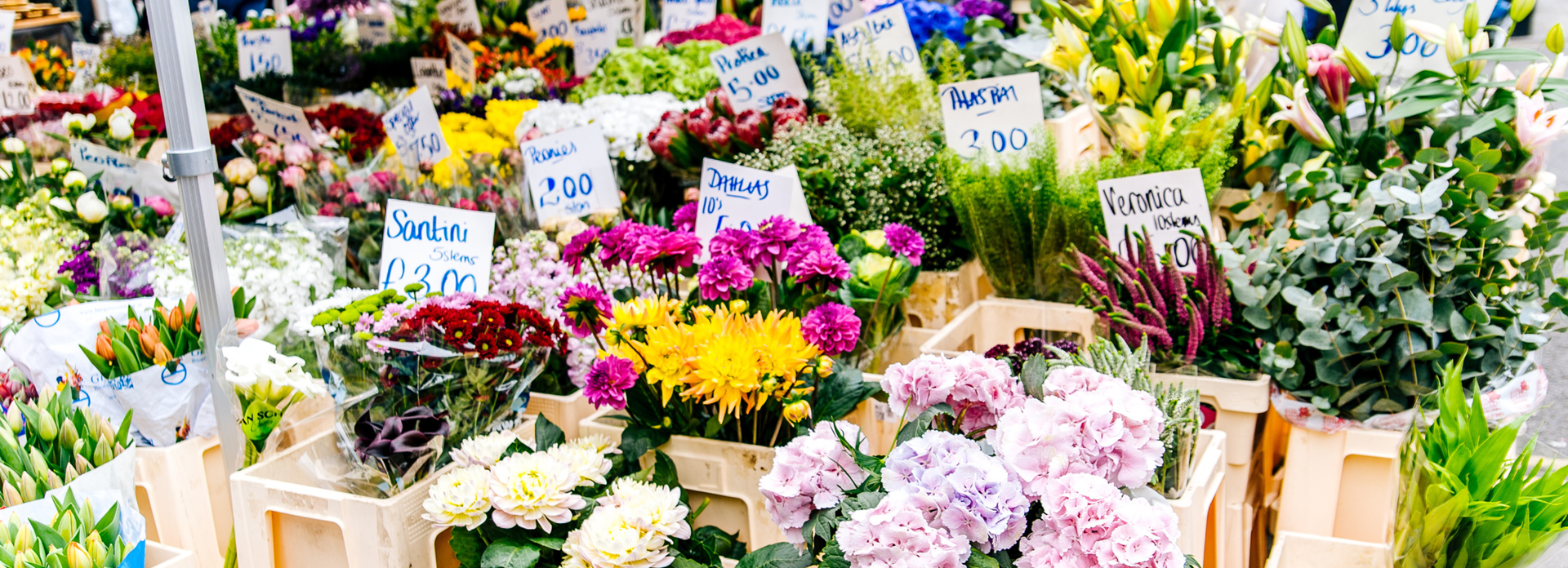Software para floristerías — FeBePOS